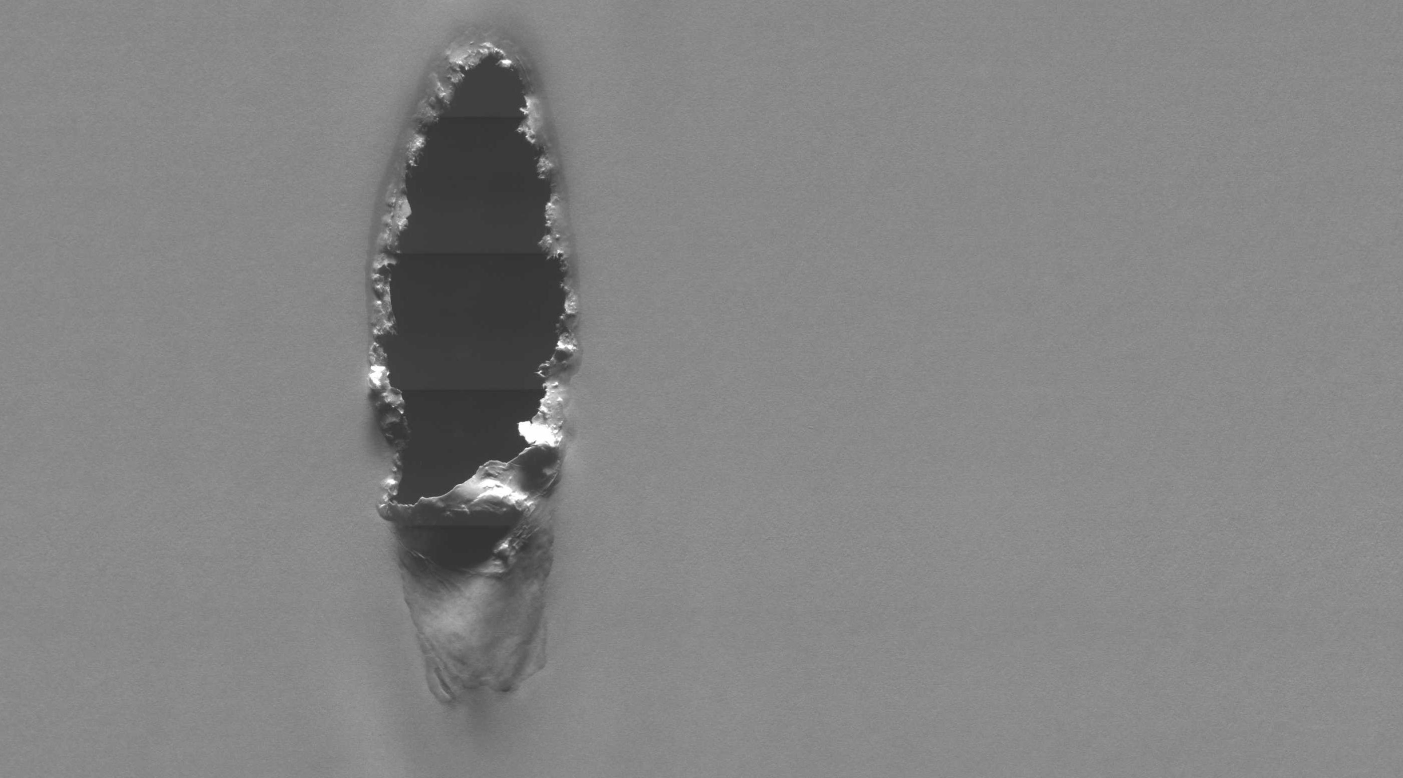 Hole-tissue-web-Procemex-camera-main-image