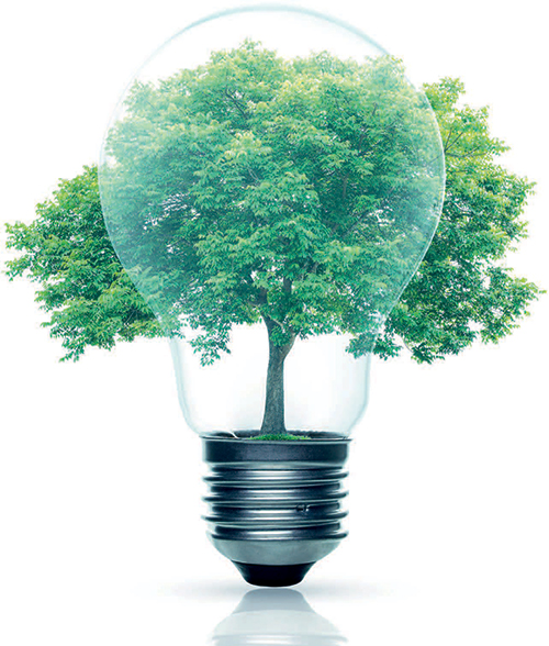 Feed-and-biofuel_bulb