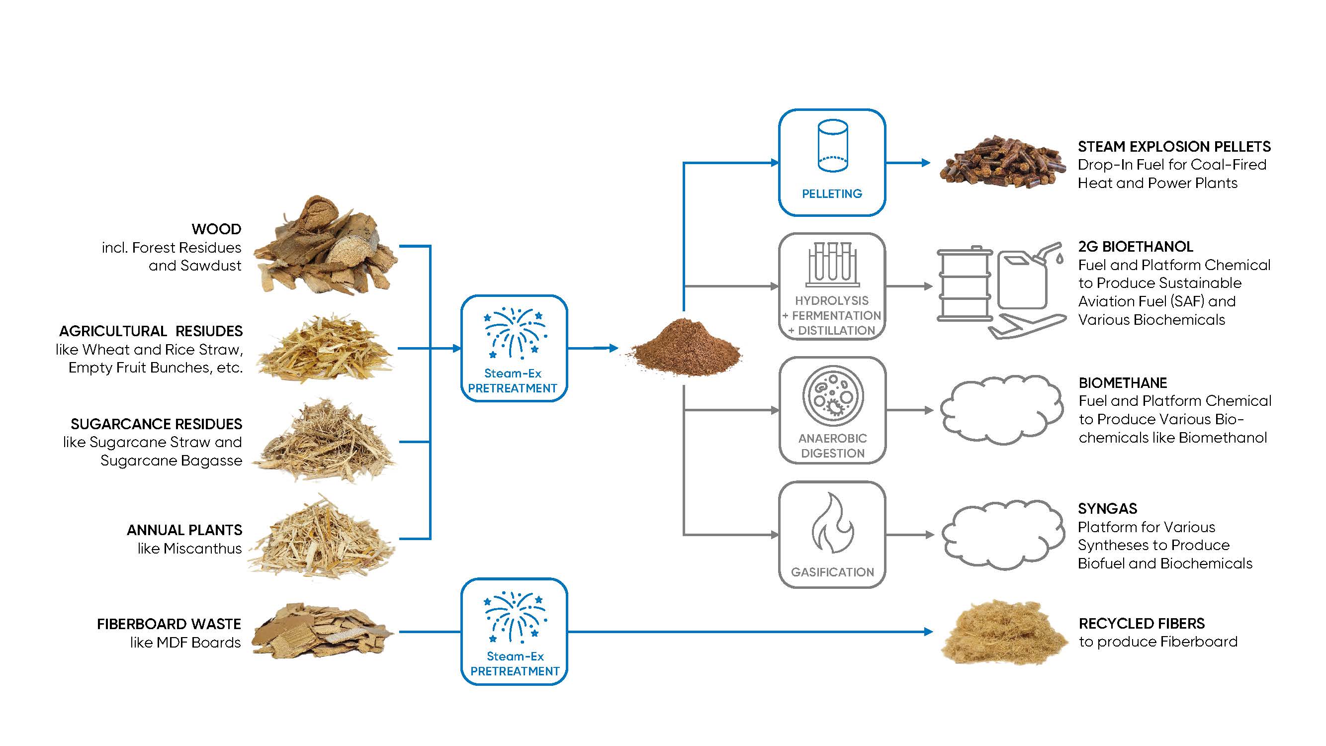 Pretreatment process for biomass