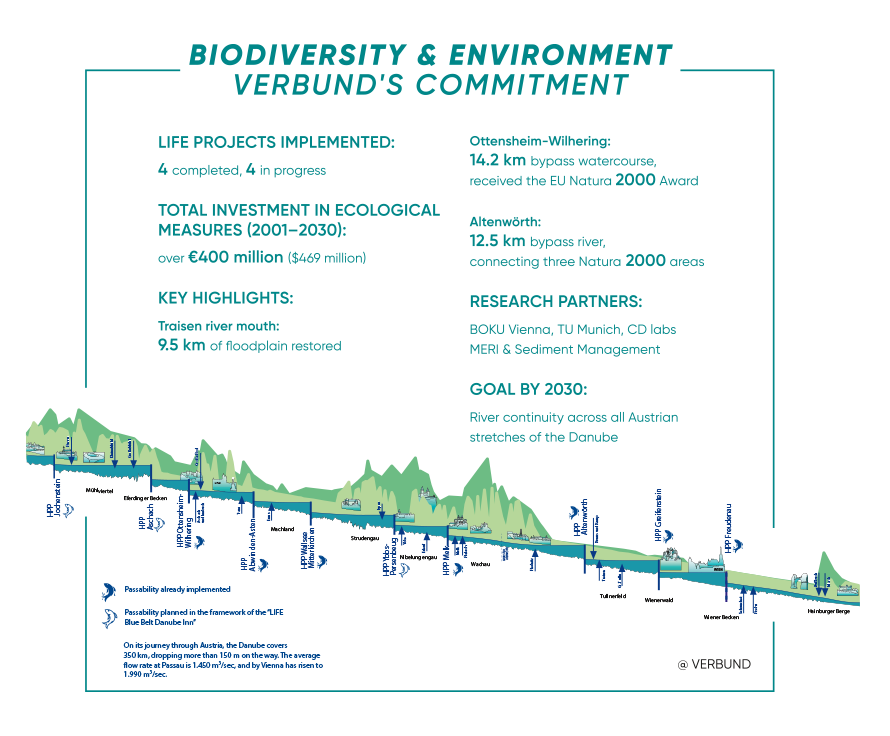 Biodiversity_Environment