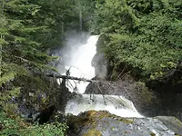 Montrose Creek