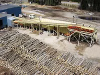 Long wood