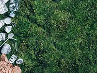 AdobeStock_393049222