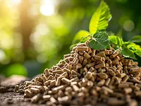 Pellets with Green Background