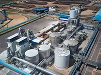 white liquor plant