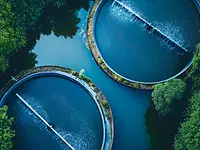 Sustainability-natural-resources-Jittapon-stock.adobe.com-928067827-ai-manipulated